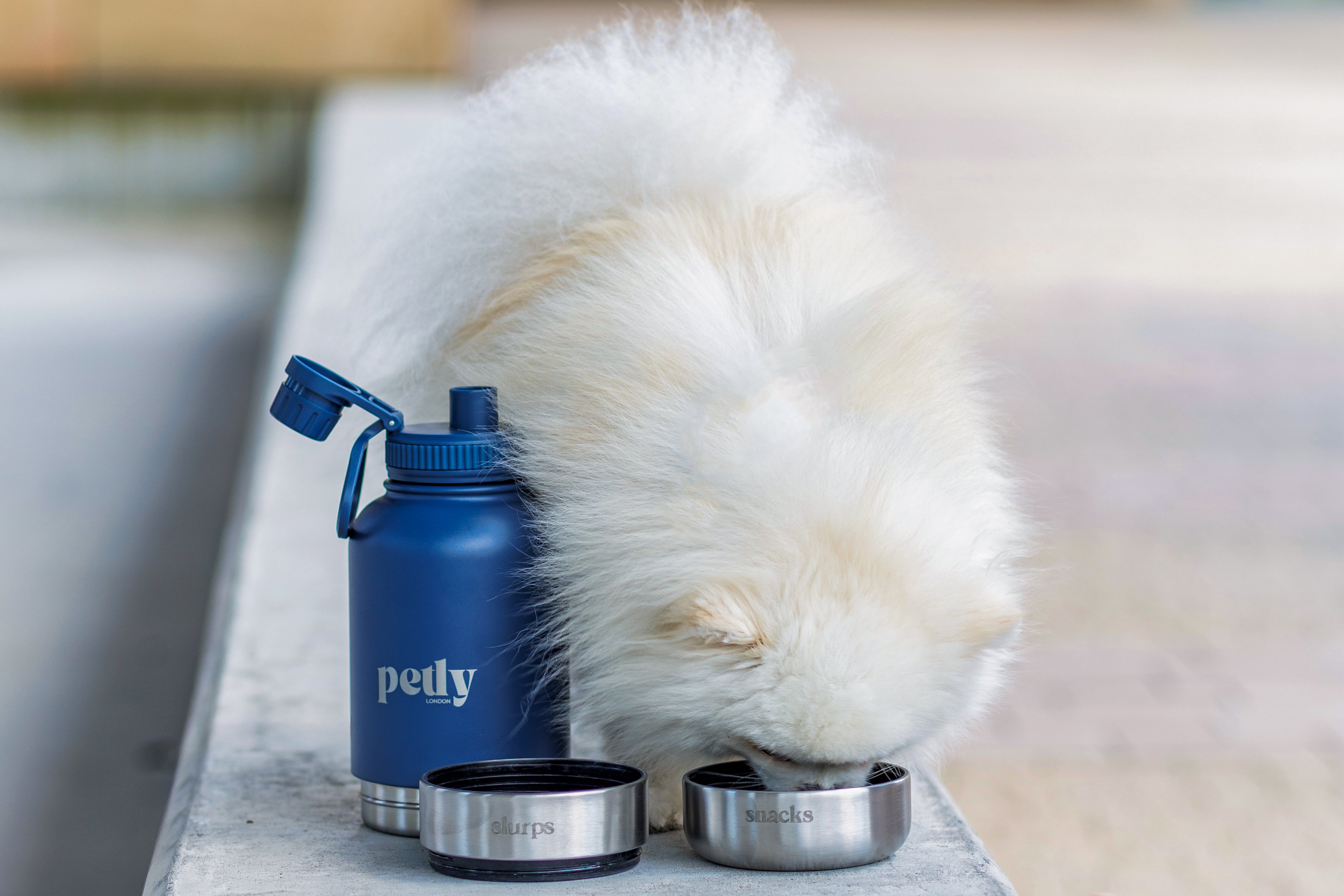 Fluffy white dog enjoying snacks from a stainless steel bowl labeled 'snacks', next to a navy blue Petly London water bottle with detachable 'slurps' and 'snacks' bowls – perfect for pet hydration and treats on the go