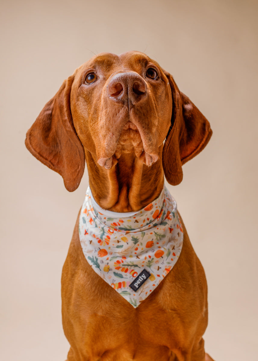 SNUG.PUP Bandana