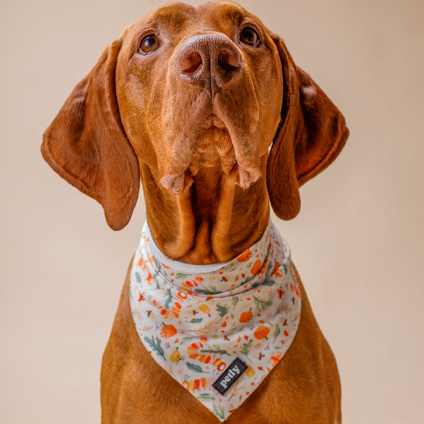 SNUG.PUP Bandana