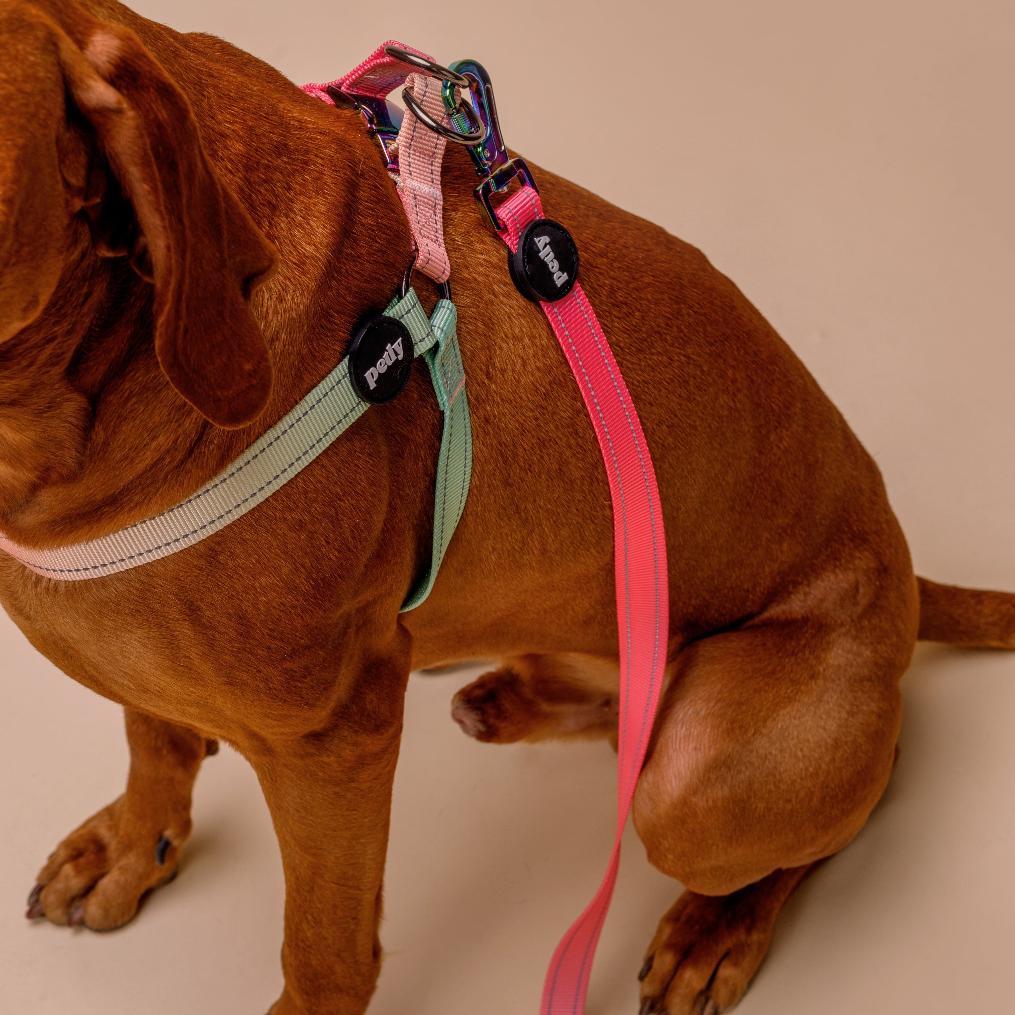 WANDER.WAG Step-In Harness