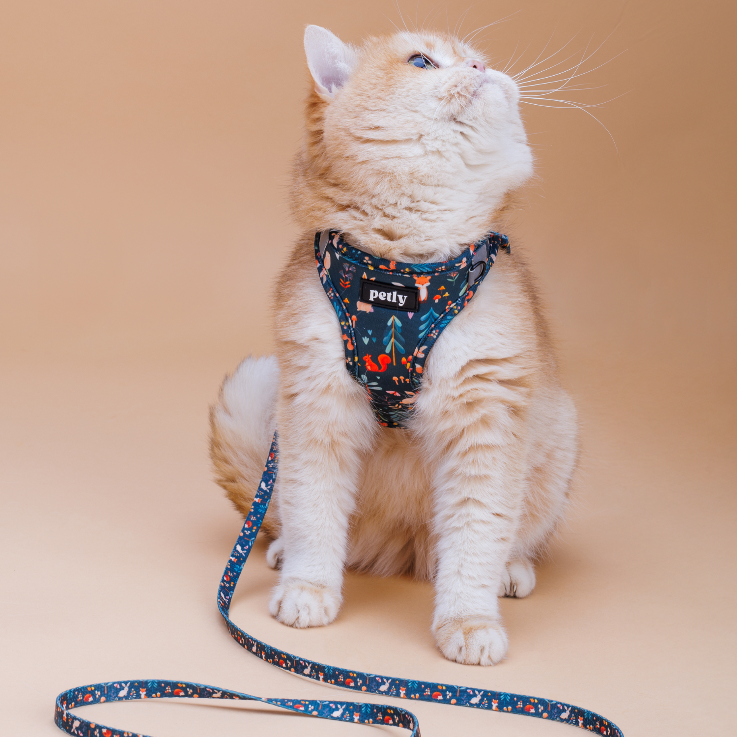 PURRFECT.FIT Collar (with bell)